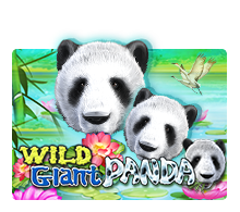Wild Giant Panda Slot Online